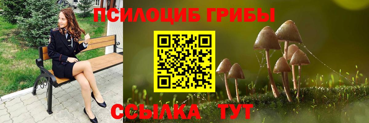 Галлюциногенные грибы Magic Shrooms Соль-Илецк